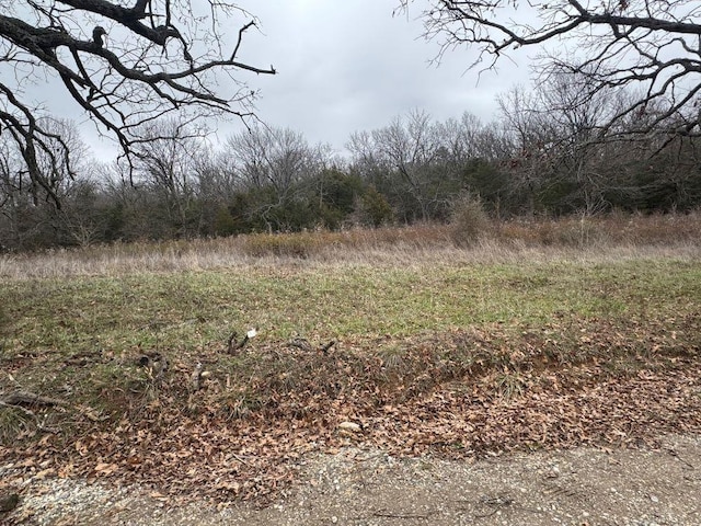 TractD Nicewarner Road, Lincoln AR, 72744 land for sale