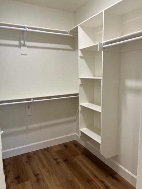 spacious closet with dark hardwood / wood-style floors