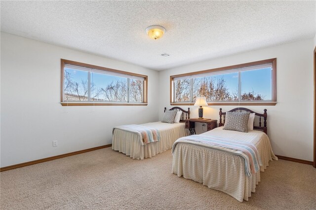 21330 Ridgeview Dr, Garfield, AR 72732 - carpeted bedroom with multiple windows, baseboards, and a textured ceiling
