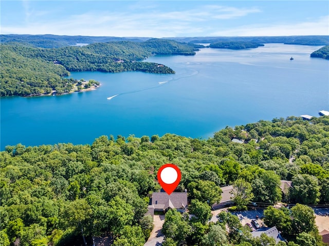 21330 Ridgeview Dr, Garfield, AR 72732 - aerial view of a forest and a large body of water