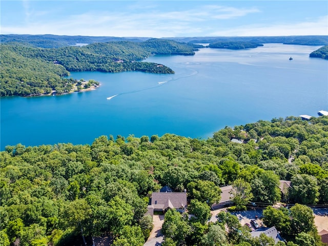 21330 Ridgeview Dr, Garfield, AR 72732 - bird's eye view of a heavily wooded area and a large body of water