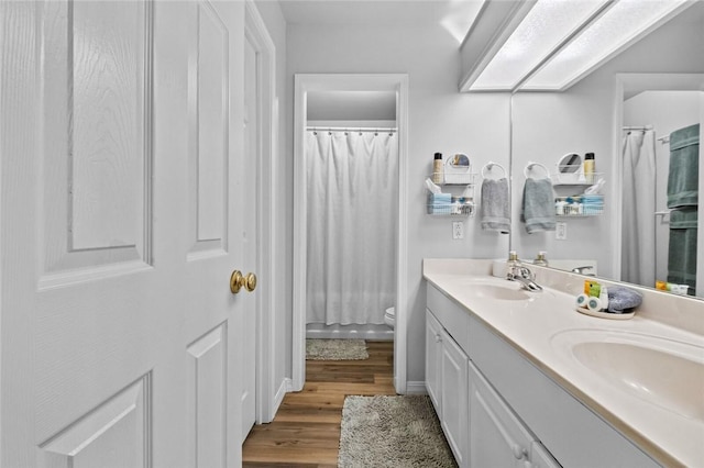 bathroom with vanity, toilet, and wood-type flooring