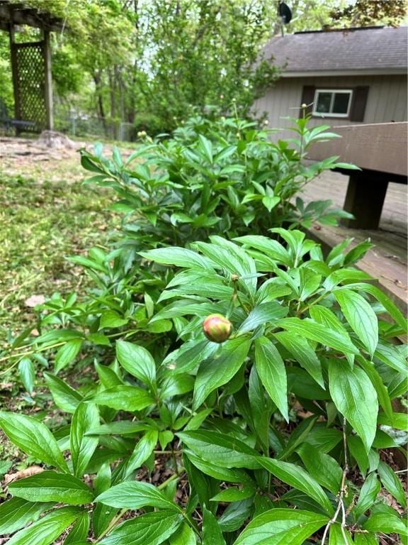 1 Syston Ln, Bella Vista, AR 72714 - exterior view