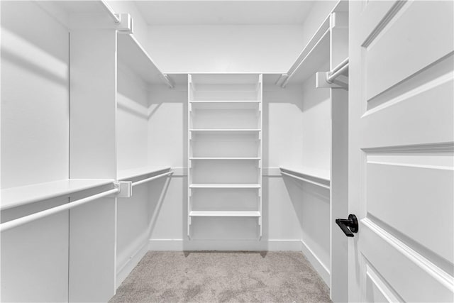 walk in closet featuring light colored carpet