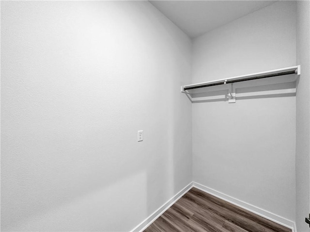 spacious closet featuring dark hardwood / wood-style flooring