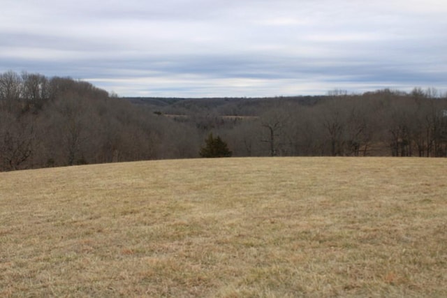 Listing photo 3 for Zinc Rd, Harrison AR 72601