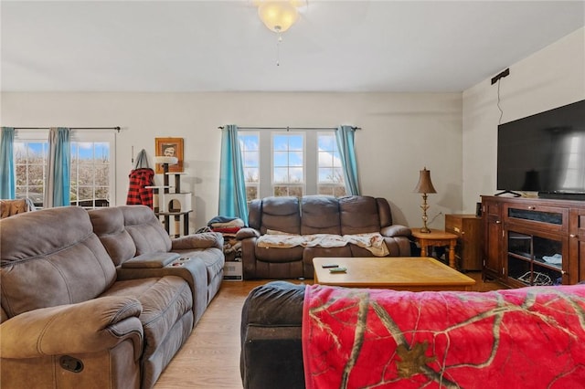 living room with a healthy amount of sunlight and light wood-type flooring