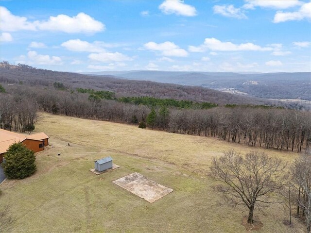 19847 Bug Scuffle Rd, West Fork, AR 72774 - photo 38
