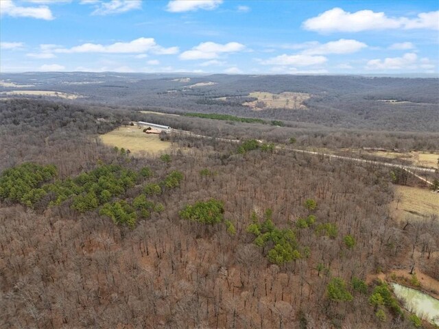 19847 Bug Scuffle Rd, West Fork, AR 72774 - photo 50