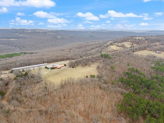 19847 Bug Scuffle Rd, West Fork, AR 72774 - photo 54