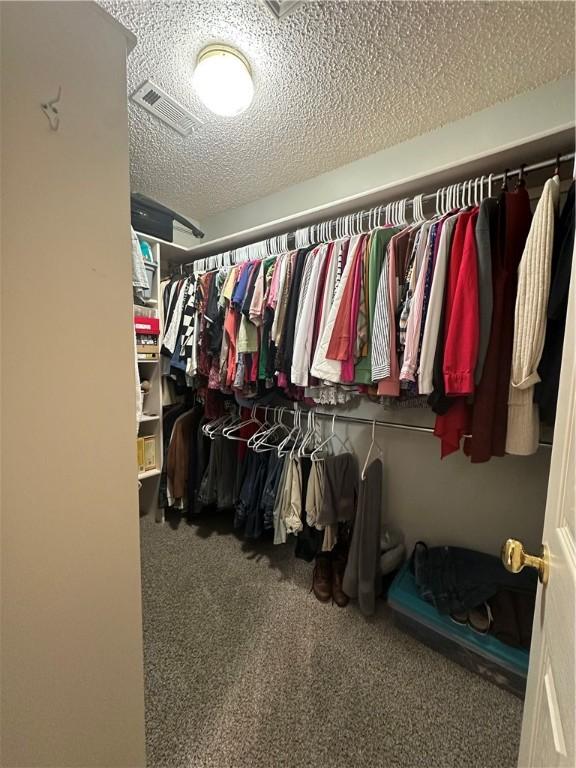 spacious closet with carpet floors