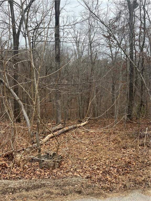 Gillingham Dr, Bella Vista, AR 72715