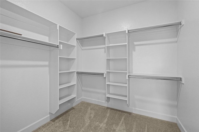 spacious closet with carpet floors