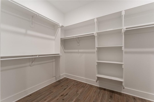 walk in closet with dark hardwood / wood-style floors