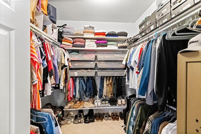 spacious closet with carpet