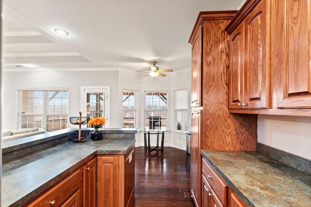 kitchen with dark countertops, ceiling fan, dark wood finished floors, brown cabinetry, and crown molding