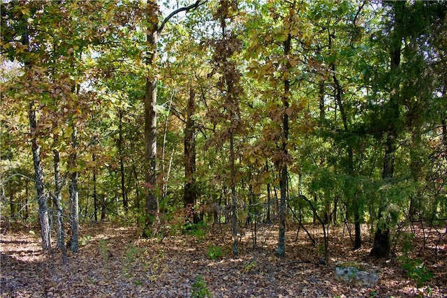 S Hills Loop, Eureka Springs AR, 72631 land for sale