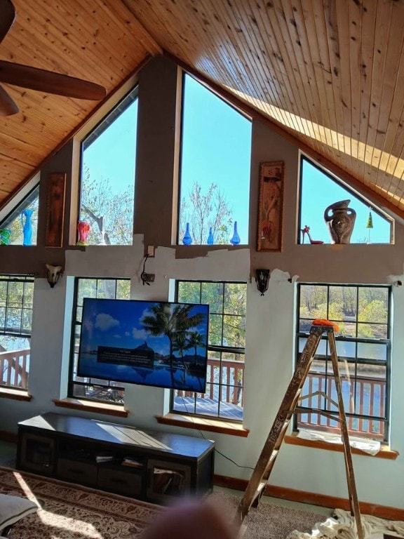 interior details with wooden ceiling