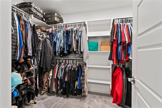 spacious closet with carpet flooring