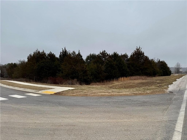 Listing photo 3 for S City Lake Rd, Fayetteville AR 72701