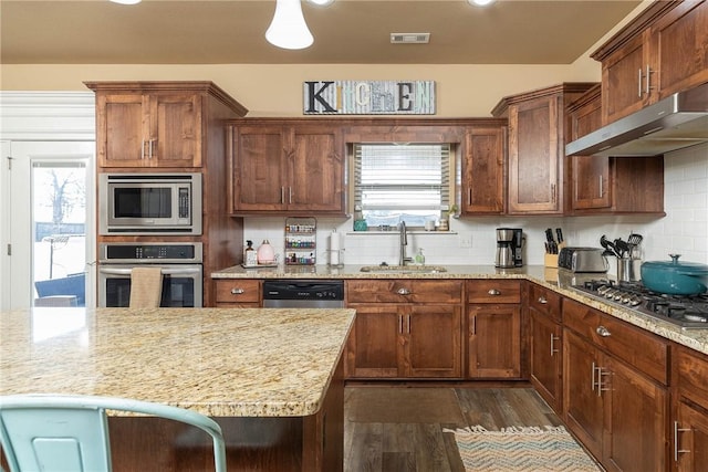 kitchen featuring sink, exhaust hood, stainless steel appliances, plenty of natural light, and dark wood-type flooring