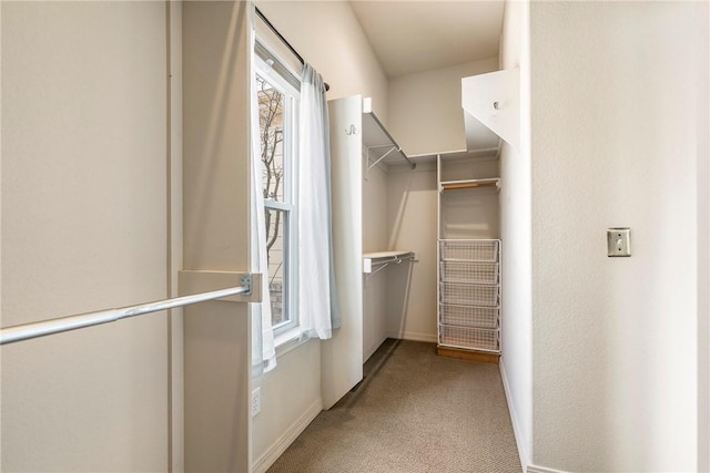 spacious closet featuring carpet floors