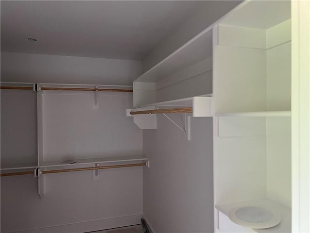 18 Selland Ln, Bella Vista, AR 72715 - view of spacious closet