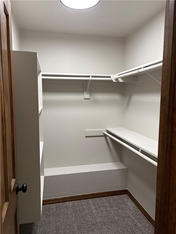 walk in closet featuring dark carpet