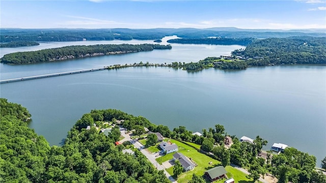 8116 Pine Ln, Rogers, AR 72756 - drone / aerial view of a large body of water