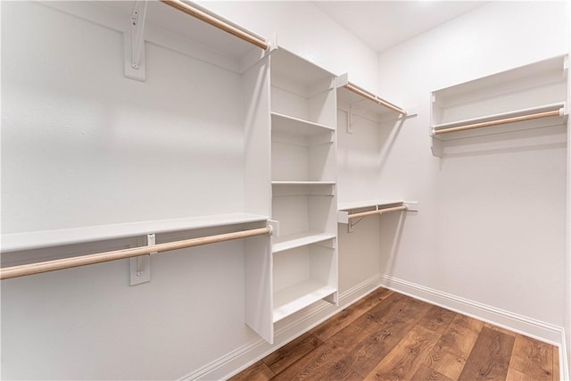 spacious closet featuring dark hardwood / wood-style flooring