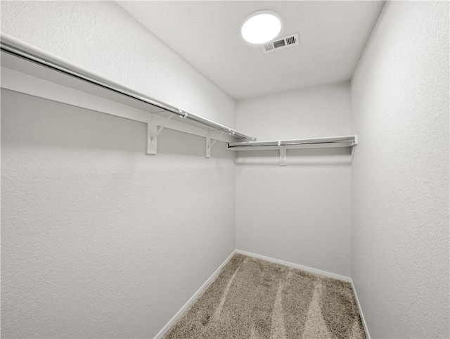 walk in closet with carpet