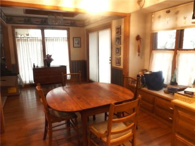 dining room with dark hardwood / wood-style floors