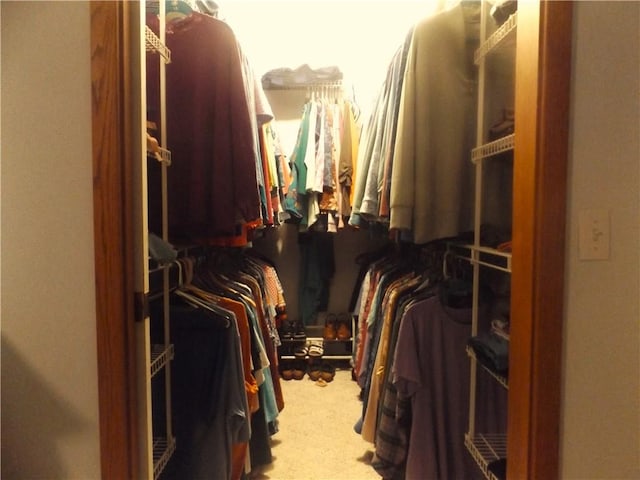 walk in closet with carpet