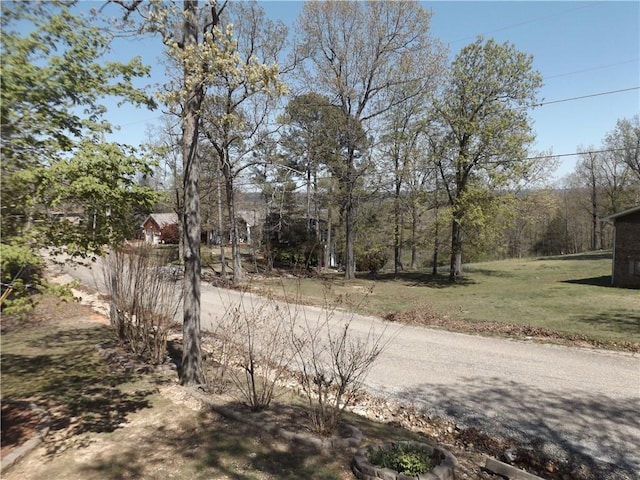 82 Baypoint Dr, Mountain Home, AR 72653 - view of road