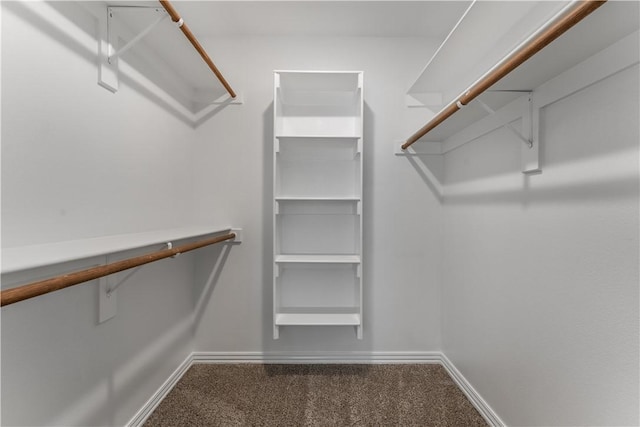2643 S Kilimanjaro Way, Rogers, AR 72758 - walk in closet with carpet floors