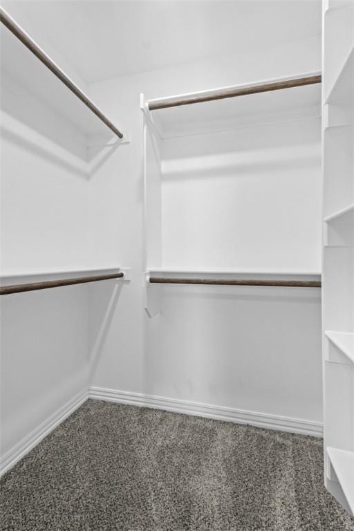 2649 W Everest Ave, Rogers, AR 72758 - walk in closet featuring carpet floors