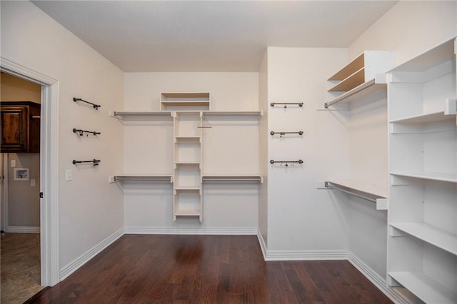 spacious closet featuring dark hardwood / wood-style floors