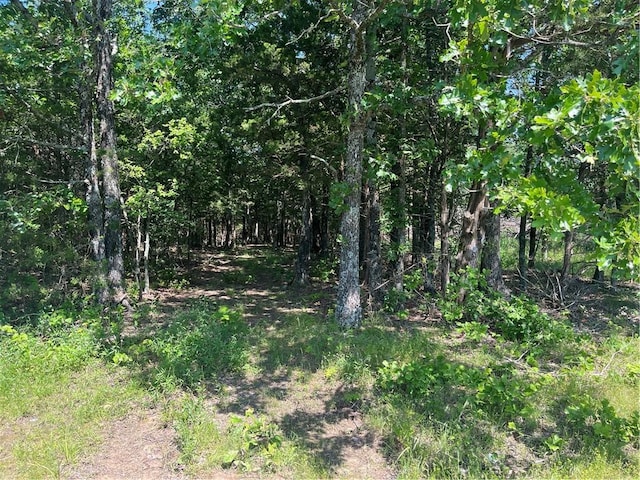 277 Madison Unit 6124, Elkins, AR 72727 - photo 1