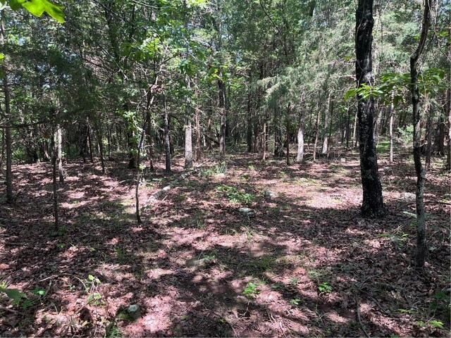 277 Madison Unit 6124, Elkins, AR 72727 - photo 16