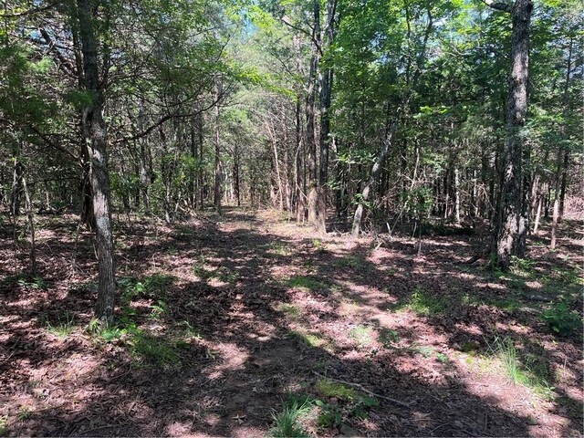 277 Madison Unit 6124, Elkins, AR 72727 - photo 21