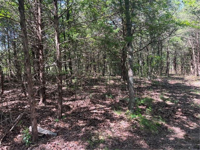 277 Madison Unit 6124, Elkins, AR 72727 - photo 22