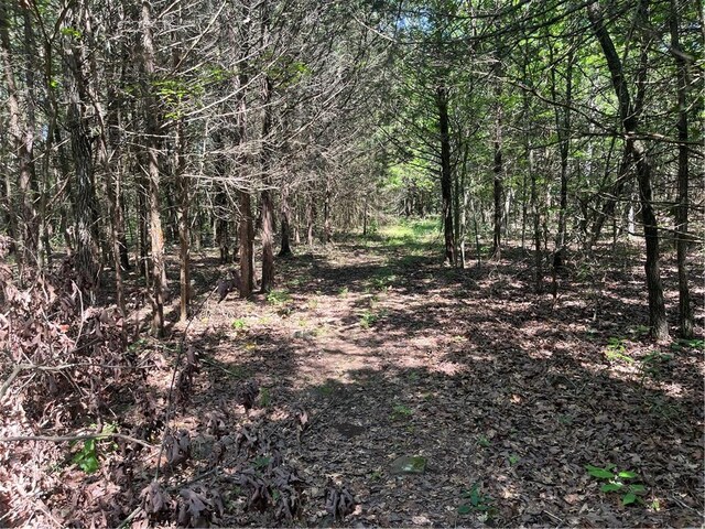 277 Madison Unit 6124, Elkins, AR 72727 - photo 24