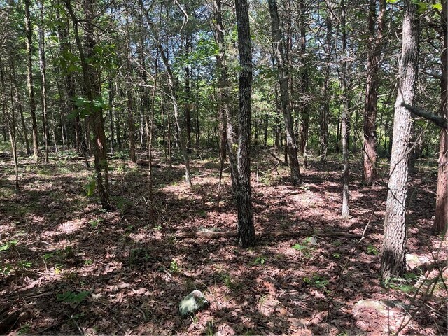 277 Madison Unit 6124, Elkins, AR 72727 - photo 26