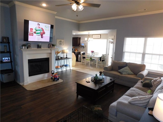 living room with ceiling fan, ornamental molding, and dark hardwood / wood-style flooring