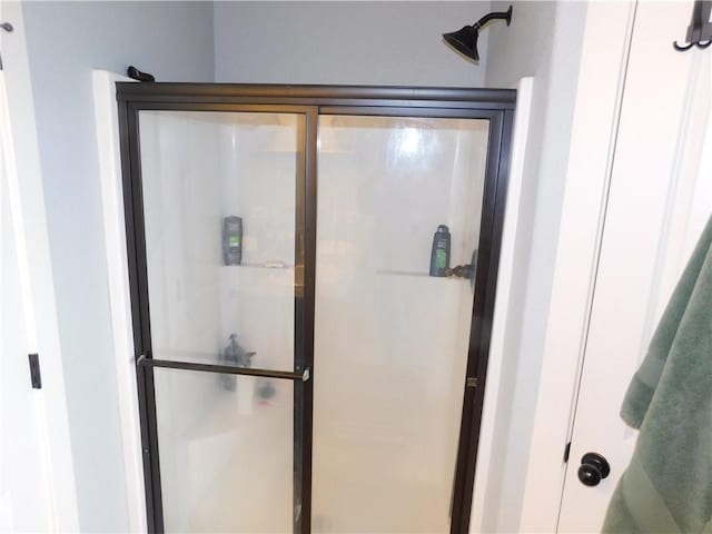 bathroom featuring a shower with shower door