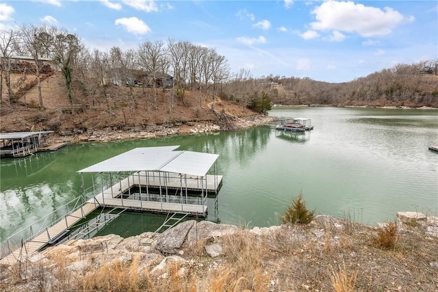 dock area with a water view