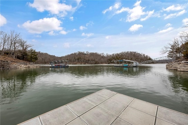 dock area with a water view