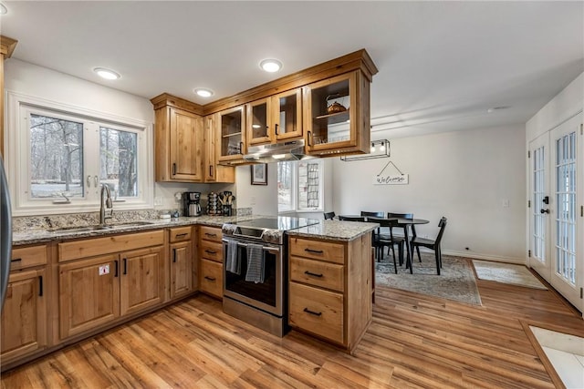 kitchen featuring glass insert cabinets, a peninsula, light stone countertops, stainless steel electric range, and a sink