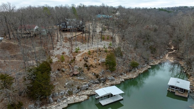 bird's eye view featuring a water view and a forest view