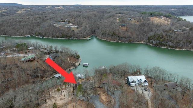 birds eye view of property featuring a water view and a forest view